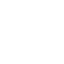 Revenue Icon
